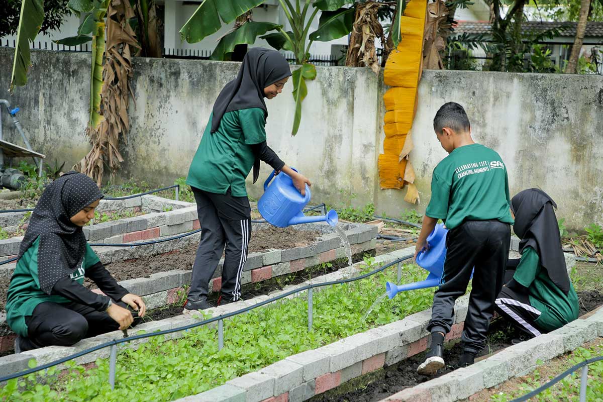 From Farm to Table