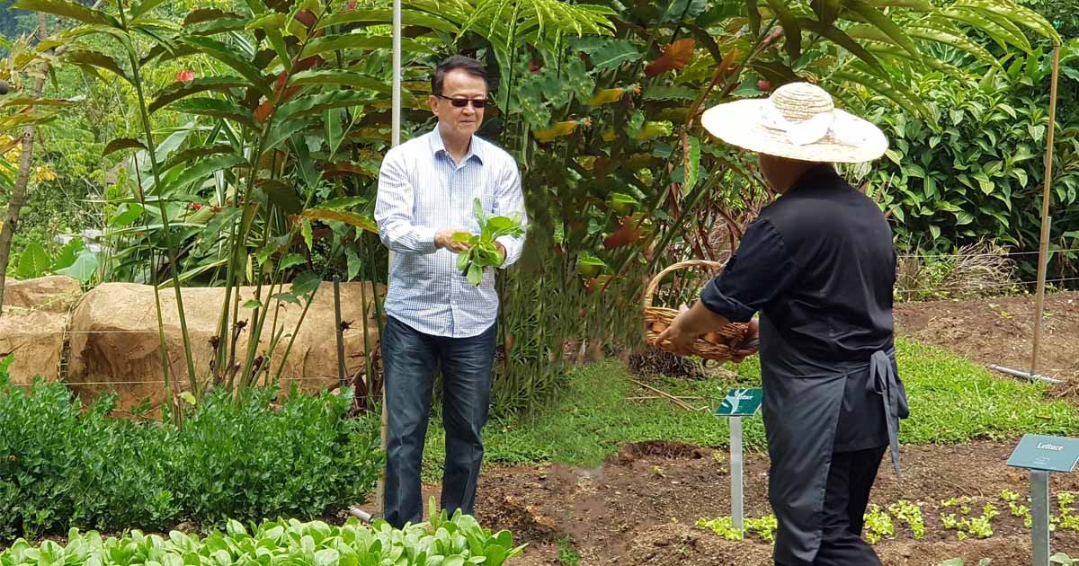 Fresh Produce Straight from The Banjaran’s Organic Gardens