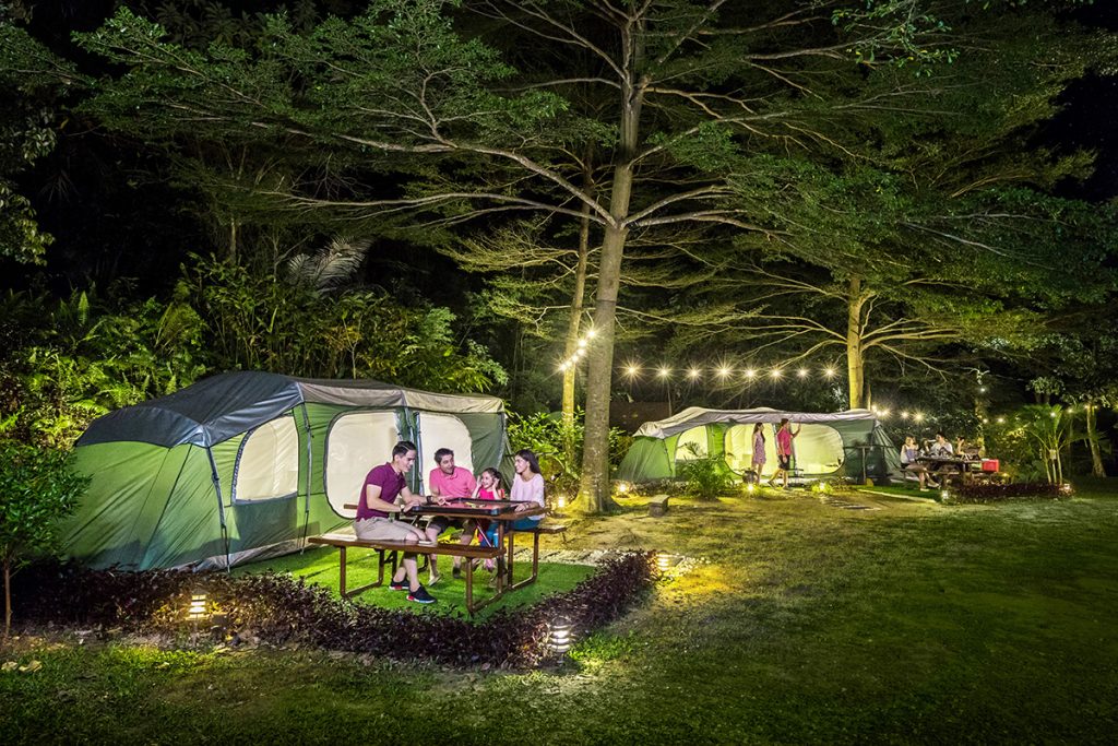 A Rising Trend in Domestic Tourism