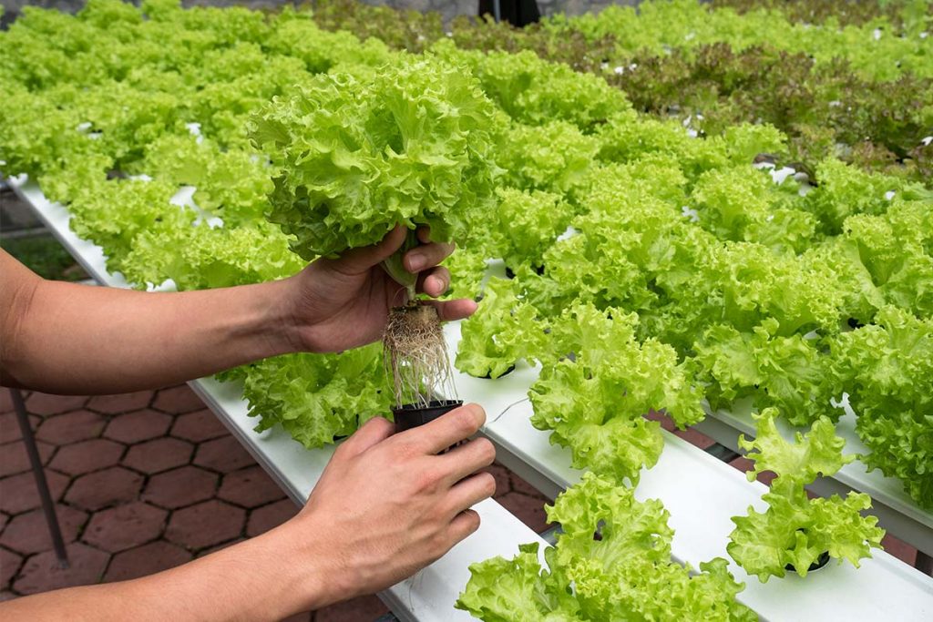 Urban Living Lab: The Key to Unlocking the Future of Cities