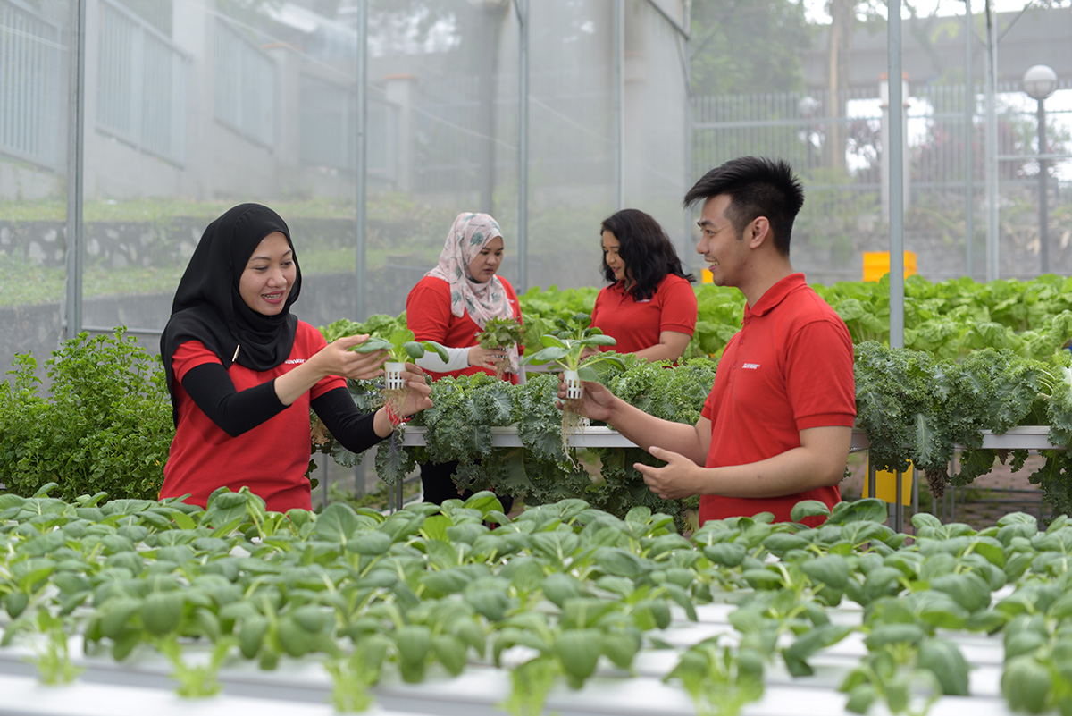 Harvesting for a Future