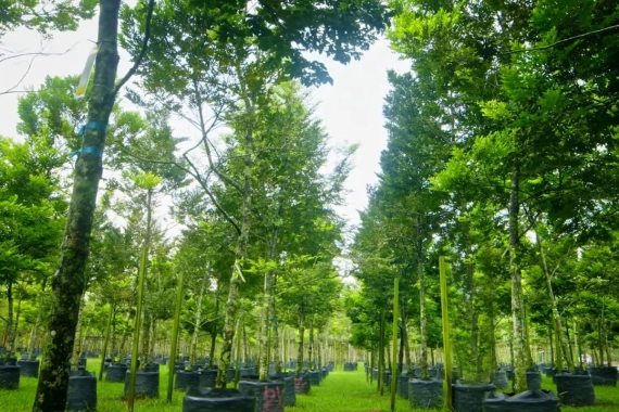 A low-angle shot of the nursery at Sunway City Iskandar Puteri
