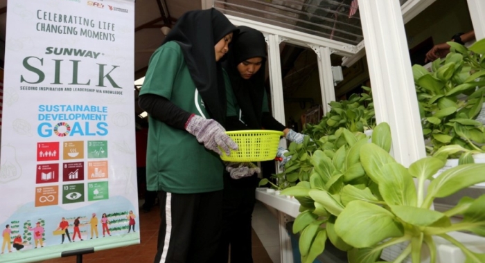 A low-angle landscape shot of young beneficiaries at Pusat Jagaan Kanak-Kanak Rukaiyah Yatim dan Miskin in Kajang, Selangor, harvesting bokchoys from their home’s hydroponic kit.