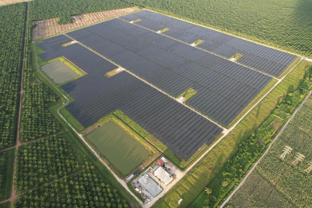 A drone shot of the solar panels amidst green fields