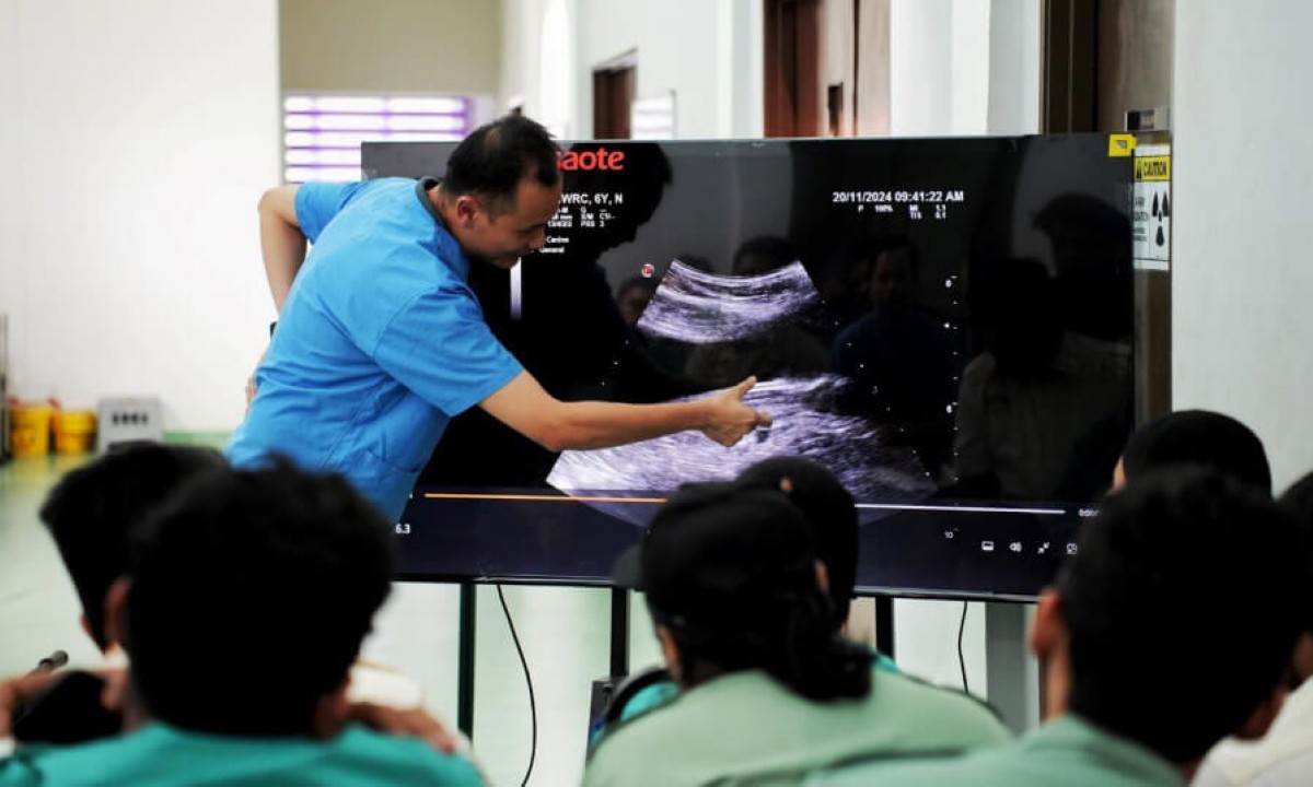 Lectures delivered by local and international experts